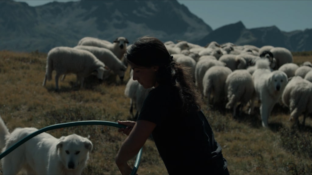 corporate_bnp_deviens ce que tu es