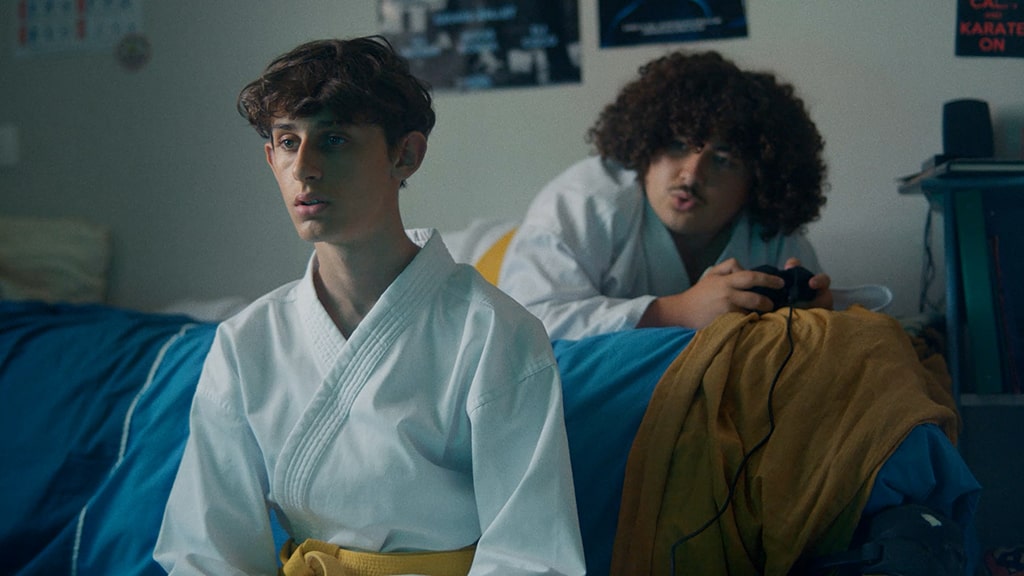 publicite_citroen_ami_taxi driver_judo