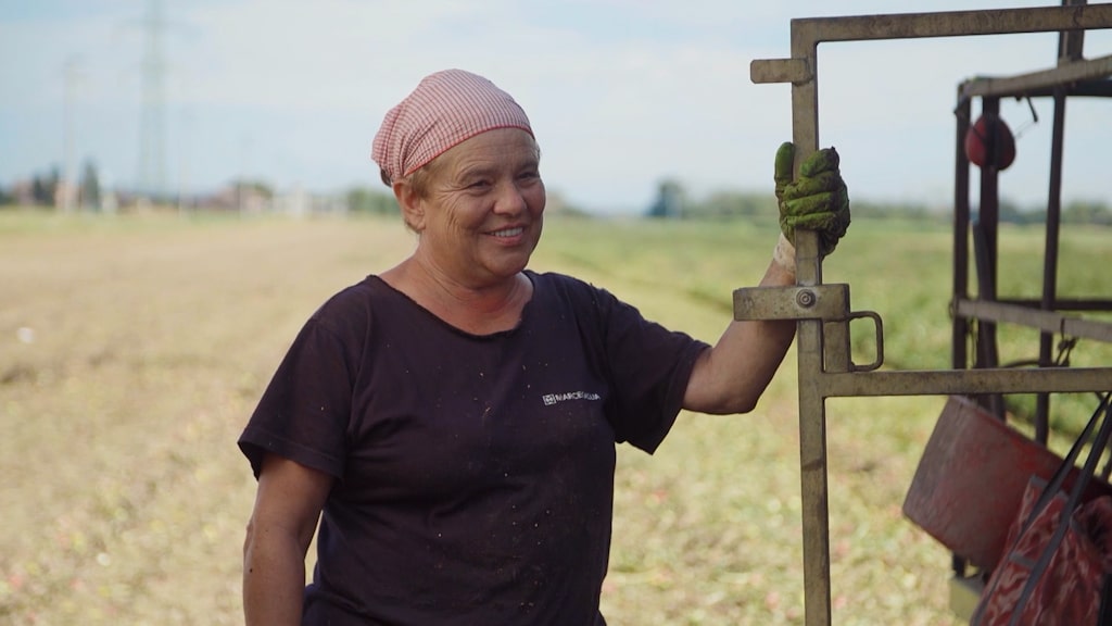 corporate_mutti_agriculture raisonnee